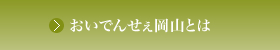 おいでんせぇ岡山とは